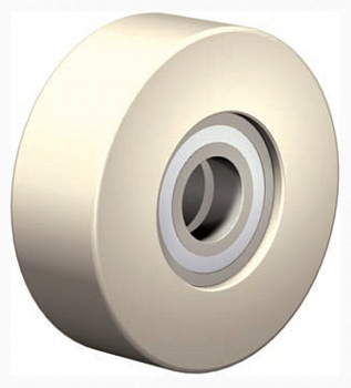 PA 101/25 Радиальный подшипник качения Winkel с покрытием POLYAMID